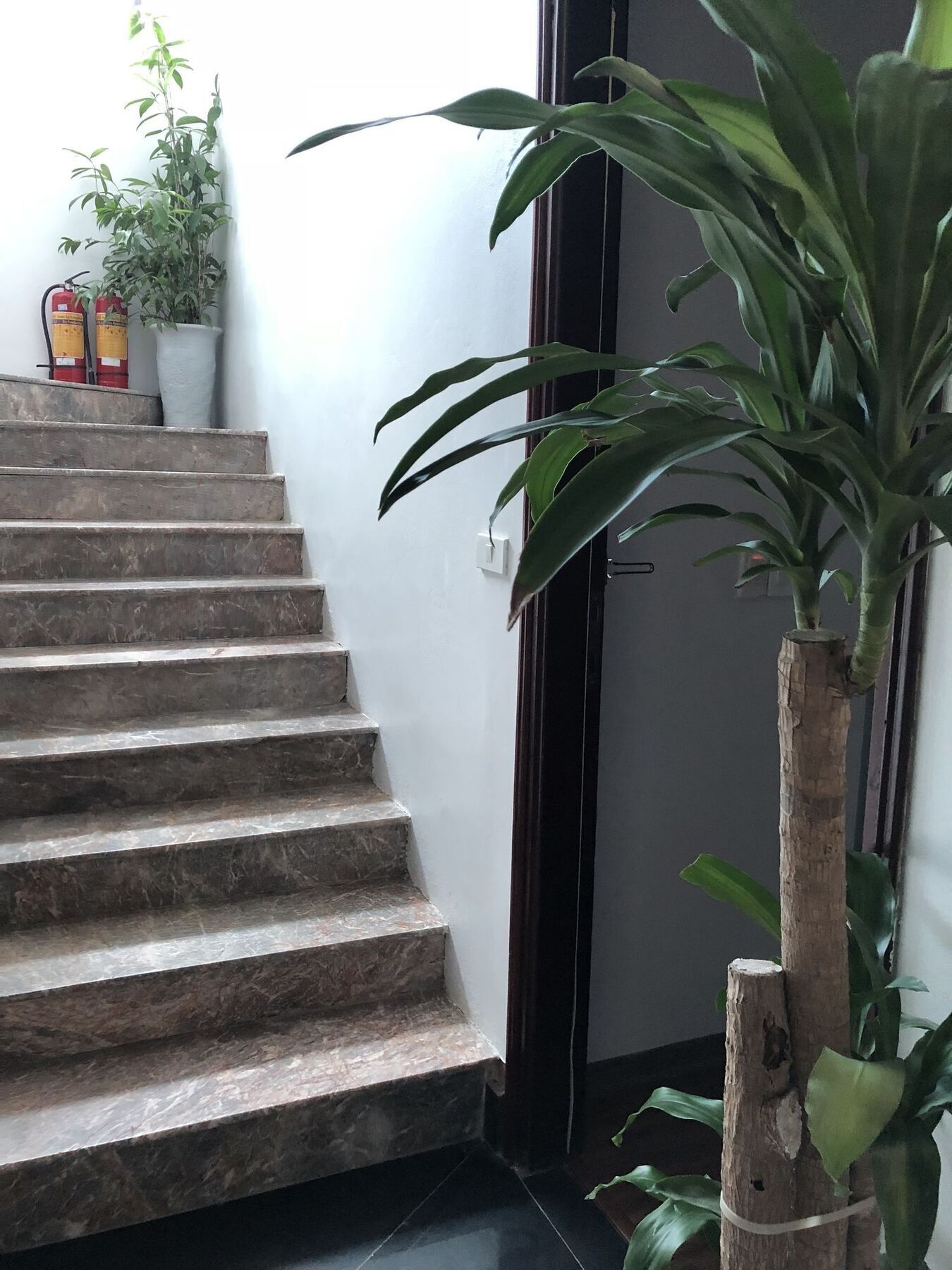 Halong Good Morning Hotel Ха Лонг Екстериор снимка